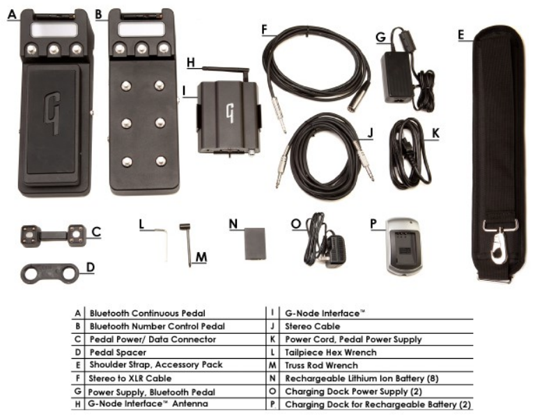 Gibson G-Node interface™